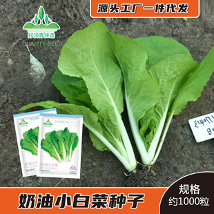 �S�����l�ļ�����С�ײ˷N����������̨���Դ����＾�ײ˷N����