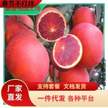 һlӘ޽ӹָ̻ʵ۸̘t˗ո̘N