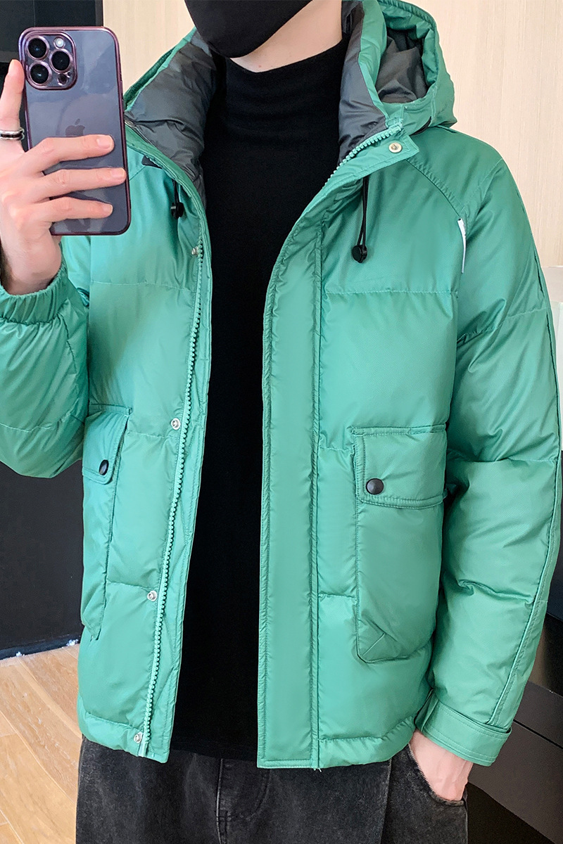 Demi-season down jacket