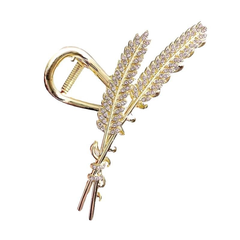 IMG_7139(20240425-200328)