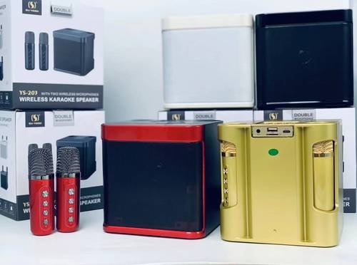 YS-203 all-in-one outdoor family party set karaoke double microphone artifact wireless microphone Bluetooth audio