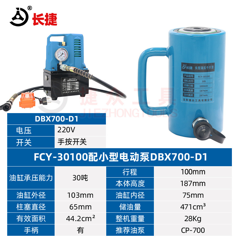 FCY-30100 (소형 전기 펌프 DBX700-D1 핸드 스위치 전압 220V a 세트)