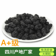 A+级新货桑葚干食用四川厂家产地免洗即食无沙黑桑椹干果子茶批发