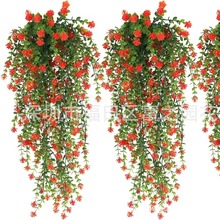 Rd 羳滨 ȼ軨ڒ ٗlٻ ͏d䁠Gֲ