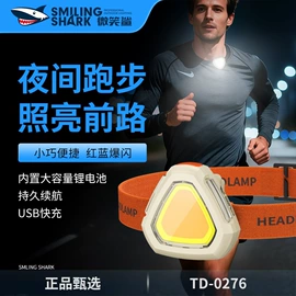 手电筒;头灯头戴电筒;野营/露营灯