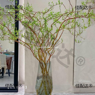 �����r��֦���F��͏dˮ��W�t�Gֲ�ﻨ���҃����Ժ��B���֧ѩ��