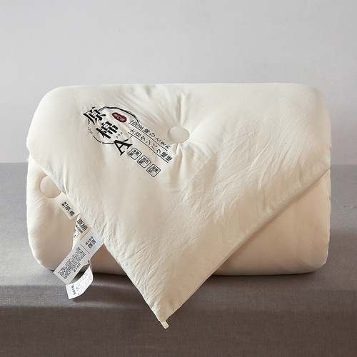 New A-Class Cotton Soy Fiber Quilt, Thick Warm Spring Autumn Summer Quilt, Single or Double Person Activity Gift Winter Quilt