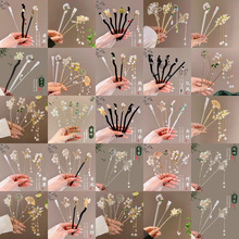 2026�¿�h���l��������L�ճ�ͨ�����Ӱlq���P�lľ�����|�l�O