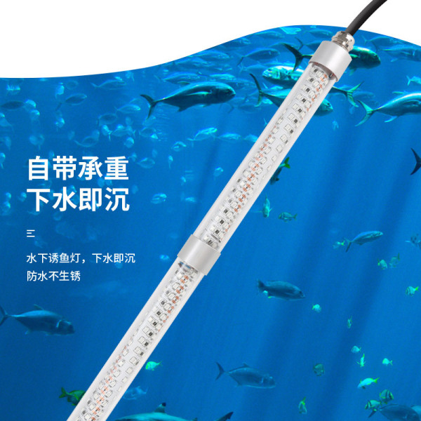 Manufacturer wholesale green light fish luring light 12v100w fish…