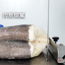 ���y�L�~SAPMER���l��Ƭ����r�ϘOȮ���~��ͯ�����oʳ��ѩ�~