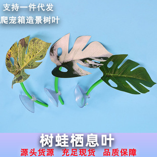�������쾰�b�����~���ܾG�Ѡ���Ϣ�~���x�����Gֲ�羳���l