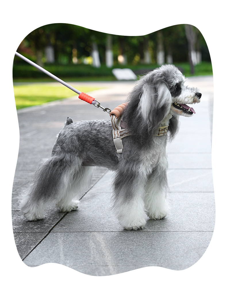 Breathable T-shaped Dog Harness And Leash Set For Small Medium Dogs_voghion.com