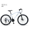 White bike spokes