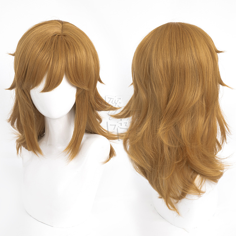 The Legend of Zelda Link cos Wig Simulation Scalp Top cosplay Wig