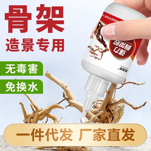 ˮ���쾰���|�޹Ǽ��z�����������ľ�ͺ����쾰�Ǽ��zֱ��