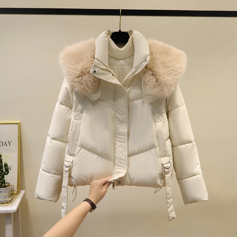 Invierno de 2025, ropa de algodón corta de moda coreana, abrigo de algodón de cuello vertical, abrigo de mujer grueso, cálido y suelto.