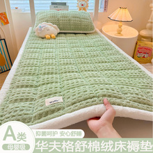 2025�¿�A��A������޽q���|�������ҼӺ�����H�w͸���ļ�ͨ��