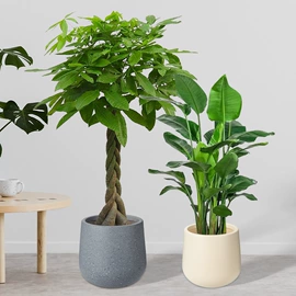 装饰花瓶;花盆装饰;花盆容器