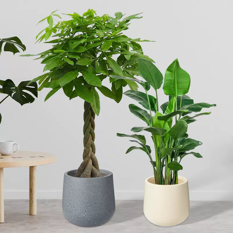 厂家批发仿水泥大口径塑料花盆大型仿真树假花装饰盆落地盆蛋形