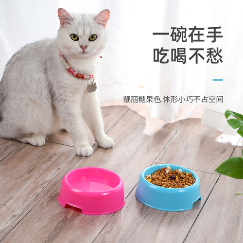 塑料宠物碗糖果色狗碗圆形单碗猫碗食盆宠物食具广告可印LOGO狗碗