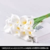 White calla lilies