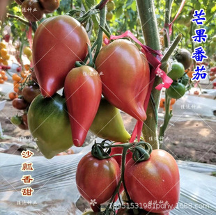 â�������ļ��Y���â���߼޽Ӄ��|�ش��������Ϸ��Nֲ����ͥԺ