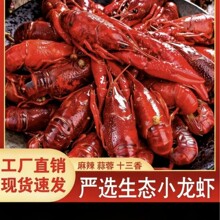 ����С���r��ʳ�r��С���r����ʮ������ʳ�A�Ʋ��������l��ʳ���