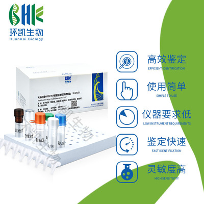 Central Kay Brooklyn Bacillus nucleic acid testing reagent Isothermal fluorescence method (Swine and sheep Healthy fast diagnosis