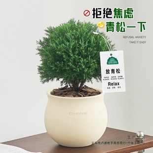 �Fڡ���Կ͏d�k��������GֲС�辰�ļ�������B����w����������