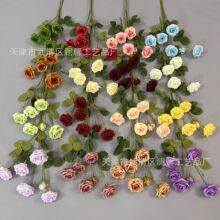 6�^����õ���c���滨��Y�ò���õ�廨�ҾӔ[�žƵ�zӰ�ٻ�