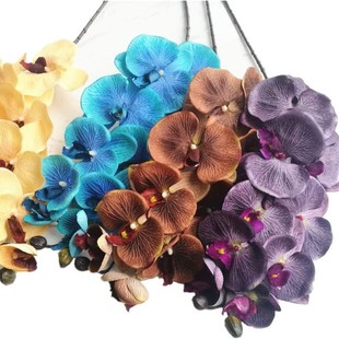 �W��10�^�󻨺����m��Y�ò��÷�����ɫ����ˇ���ܼҾ��b�绨��