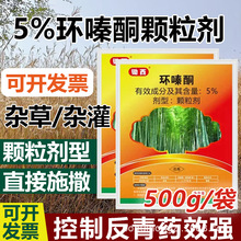 锄西环嗪酮除草烂根剂除杂灌竹子烂根药除灌木杂草芦苇开荒除草剂