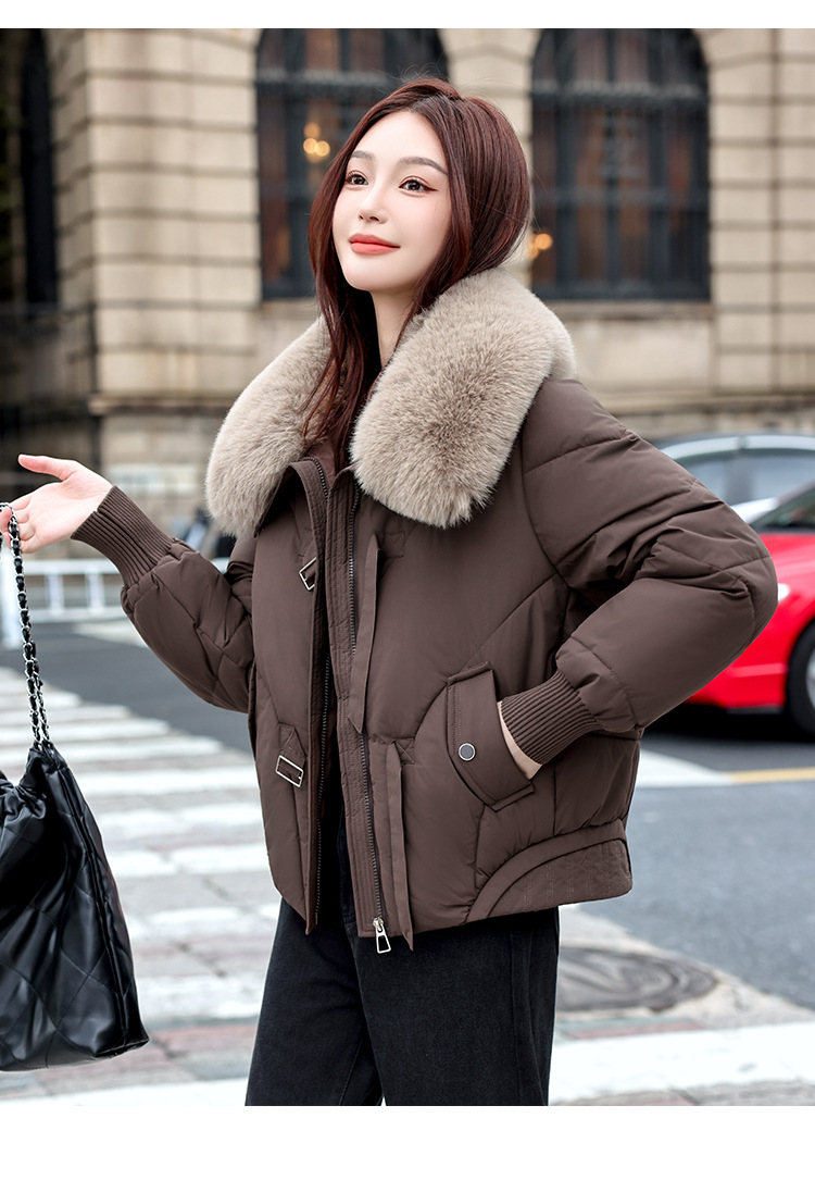 5135_39.jpg