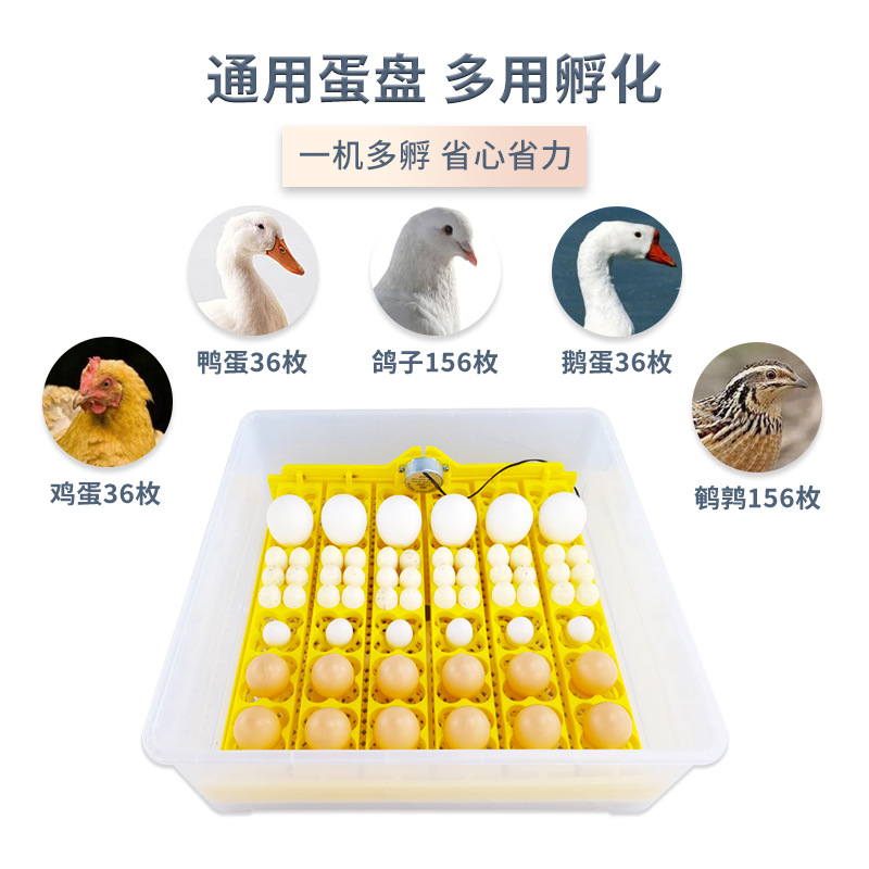 Nuevo 36 huevos incubadora automática pequeño termostato doméstico paloma codorniz pájaro huevo incubadora inteligente