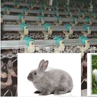 供应兔宰杀流水线设备 肉兔屠宰线 畜禽屠宰机械厂家直销
