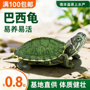 ���������w����B�����Z���b���B�׻��^�p����ͯ����С�������w