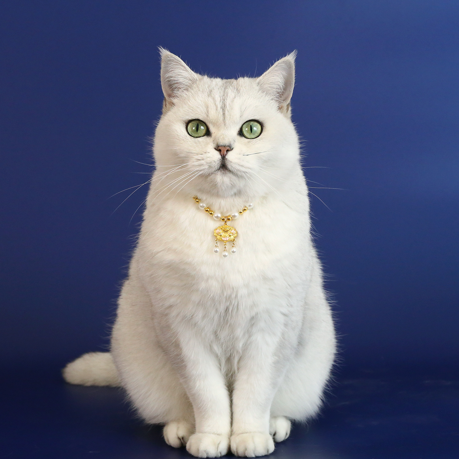 2025 Año Nuevo collar de perlas mascota princesa estilo rosa mariposa buena suerte primavera gatito collar de cachorro