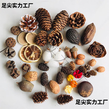 ɹֹdiyľξƵꄓ֧֦lƹܛb˱