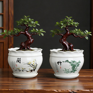 �»��S��ֱ�N�մɻ��� ��̖�����m���� �͹ŶU���_�h���辰��Gֲ