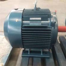 KTYZ交流减速60马达220V齿轮同步电机微型双向永磁可控电动机低速