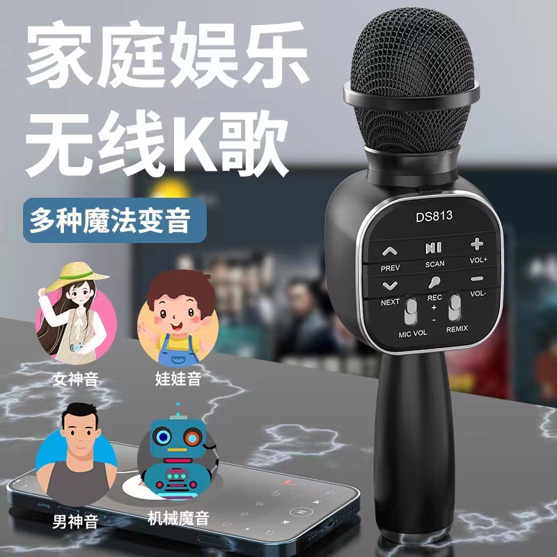 DS813话筒音响一体家用无线蓝牙麦克风全民k歌宝K歌蓝牙5.3|undefined