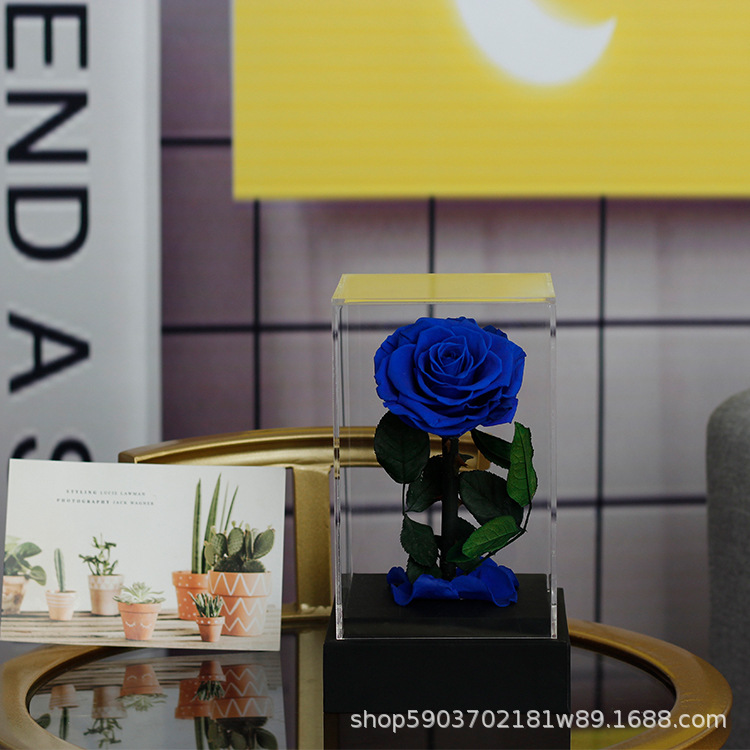 Regalo acrílico del Principito, rosa, Día de San Valentín, regalo de cumpleaños para niña, flor eterna, arte de flor eterna terminado