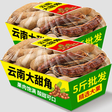 酸甜角云南特产带壳酸角新鲜大甜酸角干罗望子酸角豆孕妇休闲零食