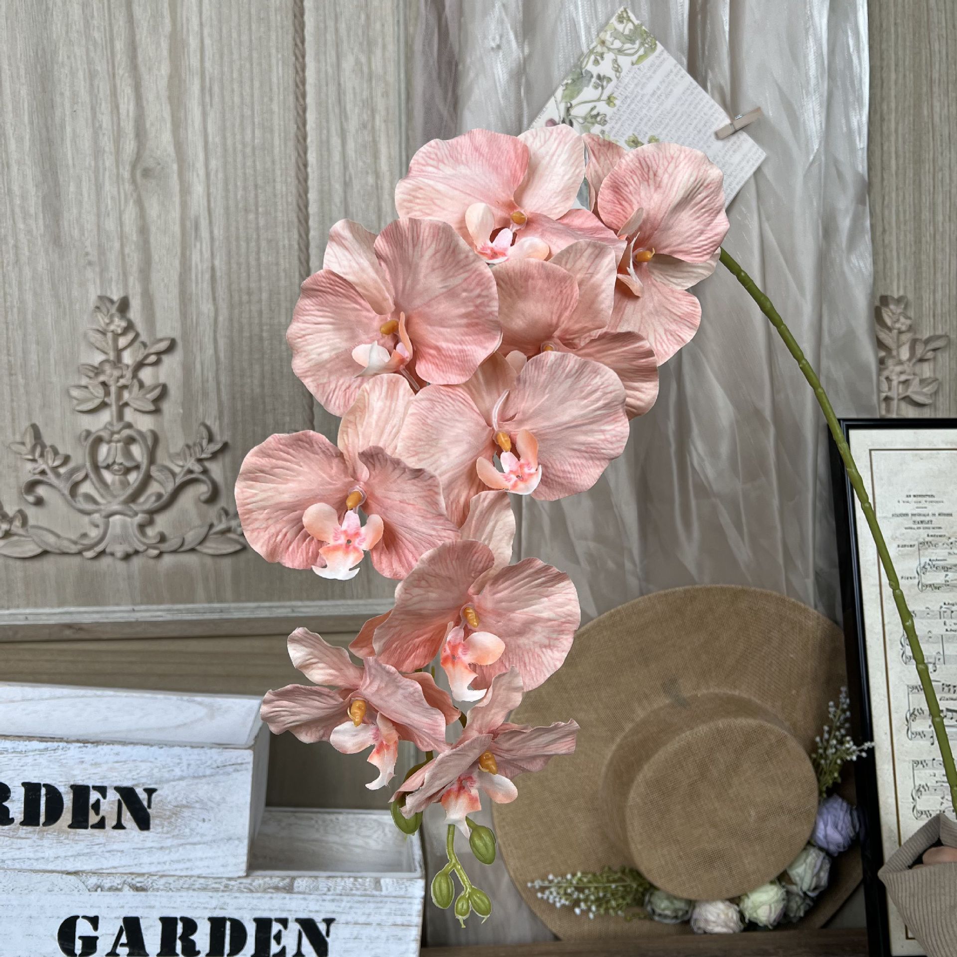 MJ-9 헤드 호접란-라이트 오렌지