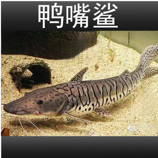 �����������~���w���y�����~��ˮ���~�������͟Ꭷ�^�p�~���]����