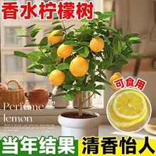 ��ˮ���ʘ�����ˮ������͏d�Gֲ�����ʳ���҃����̨�ļ��Y��