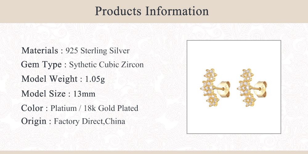 Fashion Snowflake Sterling Silver Inlay Zircon Ear Studs 1 Pair