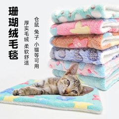 クロスボーダーペットウォームパッド、厚みのあるペットコットンパッド、猫と子犬用コーラルベルベットパッド、ハムスターウサギコットンネストパッド