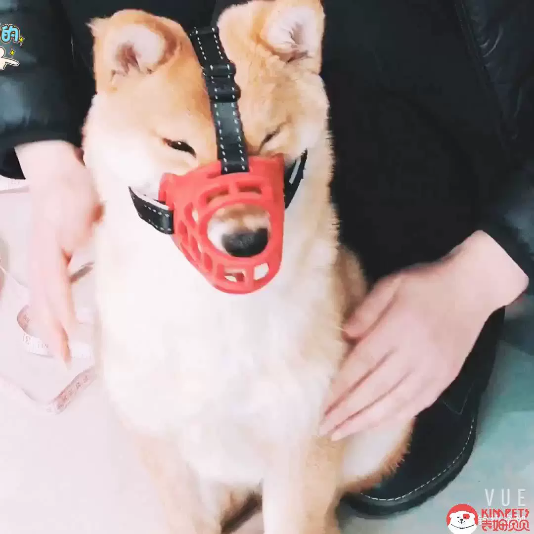 宠物嘴套防舔防咬防乱吃亚马逊货源透气可调节喝水吃反光狗狗嘴套