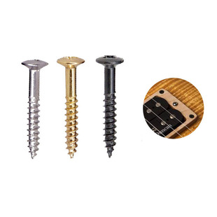 LP electric guitar dual pickup frame mounting fixing screw Gibson nail nut set silver black gold accessories